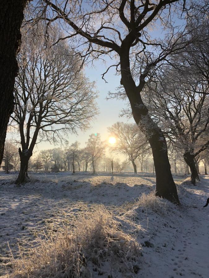 Gut Strackholt Fewo Seemannsgarn Grossefehn Exterior foto